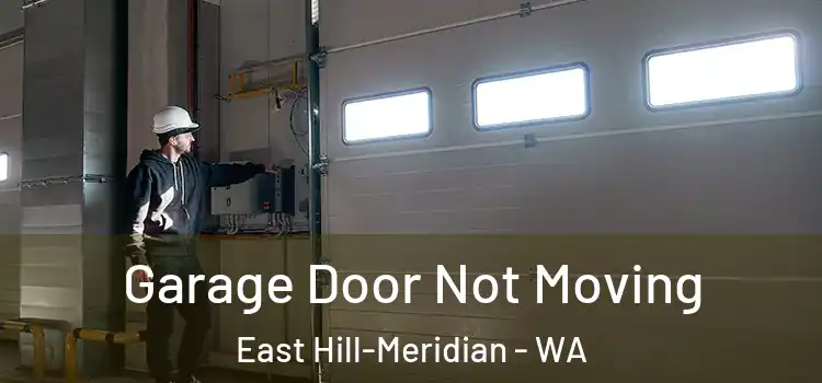 Garage Door Not Moving East Hill-Meridian - WA
