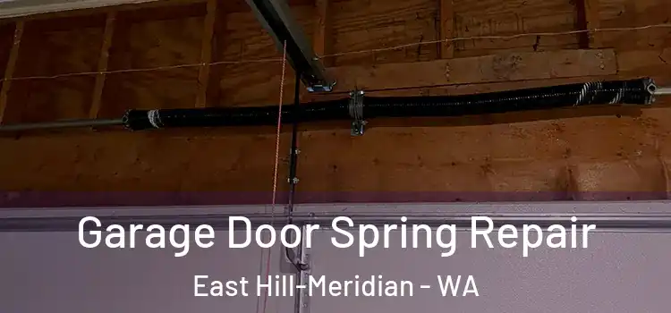  Garage Door Spring Repair East Hill-Meridian - WA