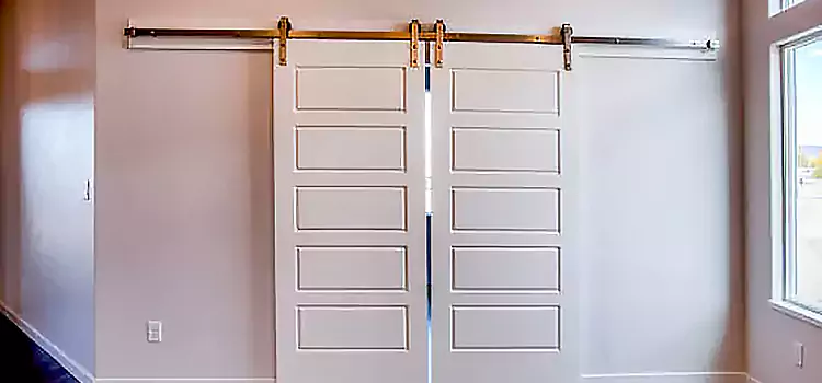 Glass Barn Door with Installation Hardware Kit East Hill-Meridian