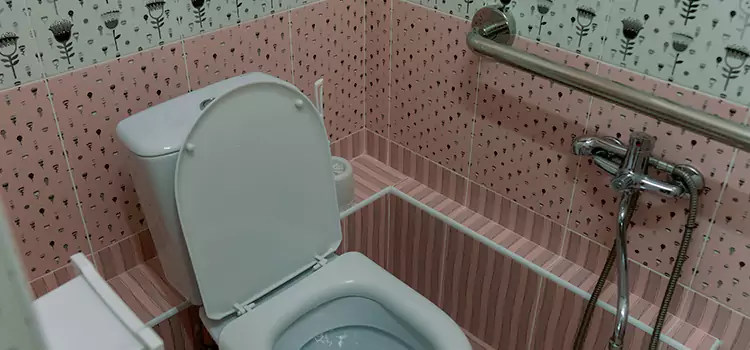 Meeting Diverse Needs With Accessible Restroom Solutions in East Hill-Meridian, WA