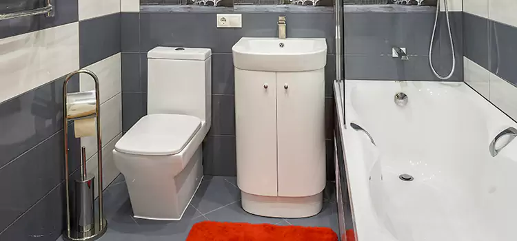 Hansgrohe Shaving Mirror East Hill-Meridian