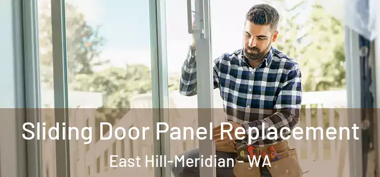  Sliding Door Panel Replacement East Hill-Meridian - WA